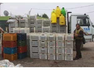 Zeytinyağında Kalite Arttı