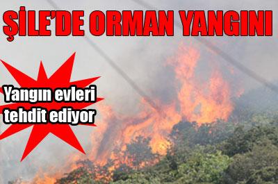Alevler Şileyi tehdit ediyor