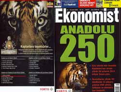 Anadoludaki En Büyük 250 Şirket