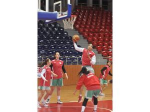 Taraftara Servis Hizmeti