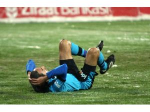Timsah Yeni Yıla Kötü Başladı