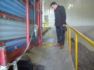 Boy Yasağına Uymayarak Avlanılan 26,6 Ton Hamsiye El Konuldu