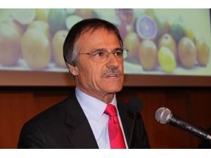 Narenciyenin Tanıtımı Teminat Mektubuna Takıldı