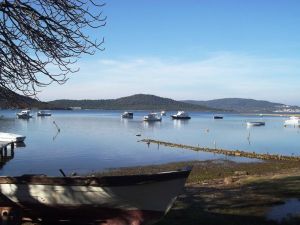 Hülya Avşar Ayvalıkta Evlendi