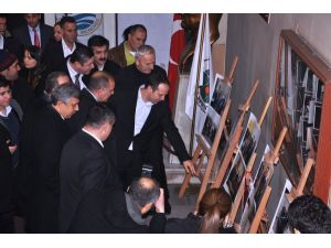 Chp Genel Başkan Yardımcısı Gürsel Tekin: