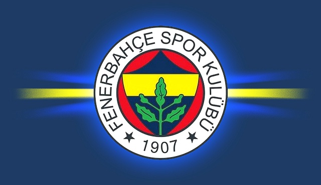 Fenerbahçeye Yeni CEO