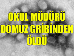 Okul Müdürü Domuz Gribinden Öldü
