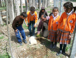 Küçükyapalakta Fidan Dikimi 