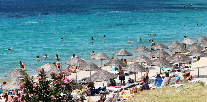 31 milyon 782 bin 832 