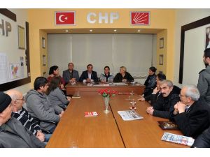 Chp Bursa Milletvekili Sena Kaleli: