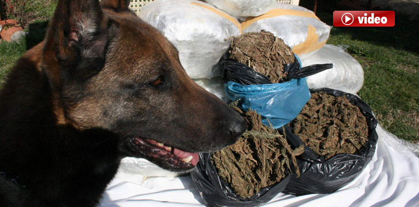 Gizlenen Esrarları Buldu