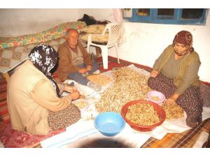 Fıstık Gibi İş İmkanı