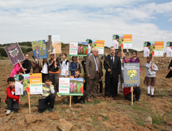 Rabia Arıkan’ın Genç Fidanları