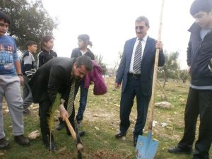 Çogem’li Çocuklar Fidan Dikti