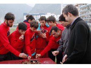 Spor Toto 2. Lig