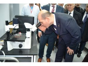 Ak Parti Genel Başkan Yardımcısı Süleyman Soylu: