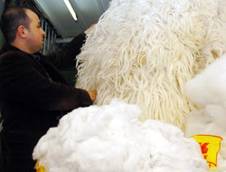 Yün Yatak Mutluluk Veriyor