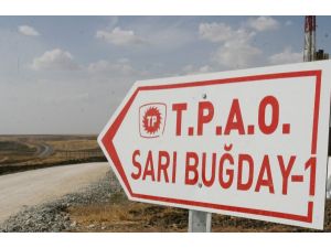 Silvanda Kaya Gazı Umudu