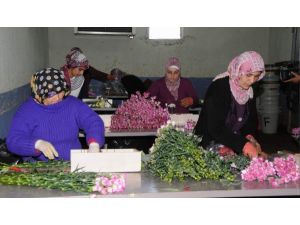 Sevgiliye Çiçekler Antalya’dan