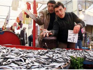Eylül Ayına Kadar Tezgahta Ucuz Balık Bulmak Zor