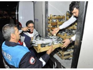 Gıda, Tarım Ve Hayvancılık Bakanlığından Kaçak Balıkçı Operasyonu