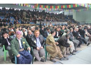 Bdp Hakkari İl Başkanlığı Kongresi