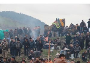 Futbol Takımı Yararına Deve Güreşi