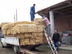 Sakla Samanı Gelir Zamanı Ata Sözü Gerçek Oldu