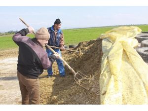 Besiciler Yem Desteği Bekliyor