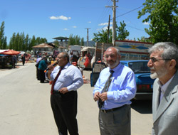 Tahiroğlu Tekir, Göksun ve Afşin’de