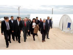 Reddaway: Suriye Halkına Yardım Artabilir