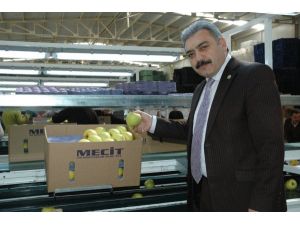 Karamanda 40 Bin Ton Elma Soğuk Hava Deposunda Bekliyor