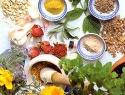 Şifacı Şifa Dağıtıyor!