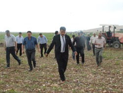 ‘Halkın iradesine kimse engel olamaz’