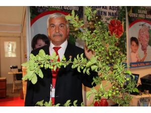 Turfanda ‘can Erik’ 10 Gün Sonra Piyasada