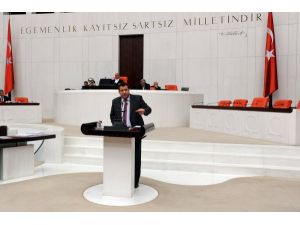 Kamuda Yerli Malı Kullanılmaması