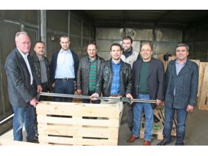 Türkiye’de Kullanılan Ağaçları İncelediler