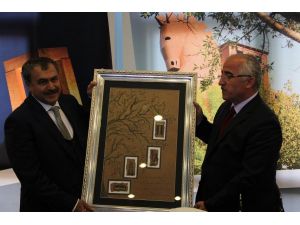 Bakan Eroğlu’ndan Kadınlara Jest