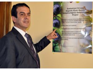 (Özel Haber) Köylüye Kazanç Ekonomiye Katkı