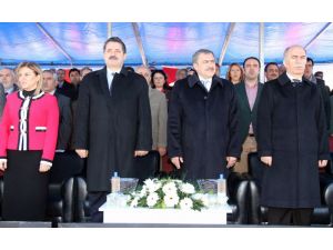 Bakan Eroğlu Ve Çelik, Kestane Fidanı Dikip, Kestane Şekeri Dağıttı