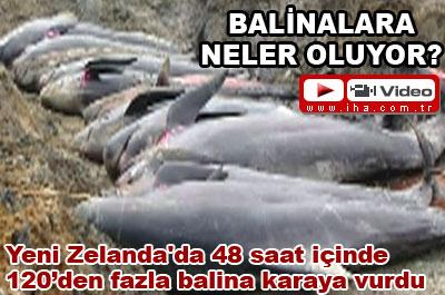 Balinalara neler oluyor? 