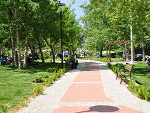 Mesire Alanları Kiralanabilecek!