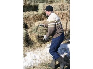 (Özel Haber) Aysun Kayacı’ya Üstü Kapalı Gönderme