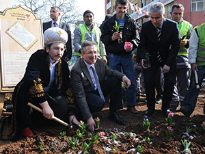 Saray Sümbülleri Toprakla Buluştu 