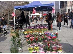 Kosova’da 8 Mart Dünya Kadınlar Günü Kutlandı
