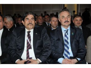 Halter Başkanını Seçiyor
