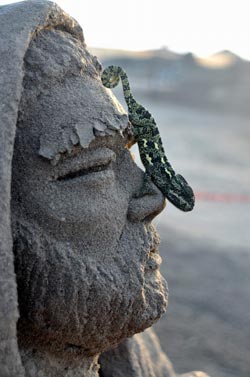 Kum heykellerin davetsiz misafirleri