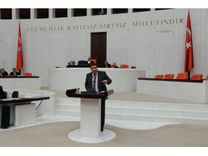 Mhp İzmir Milletvekili Ahmet Kenan Tanrıkulu: