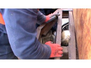 Sorgun’da Köpek Kurtarma Operasyonu