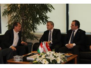 Macaristan’da Yatırımların Yüzde 60’ı Teşviklerle Karşılanıyor